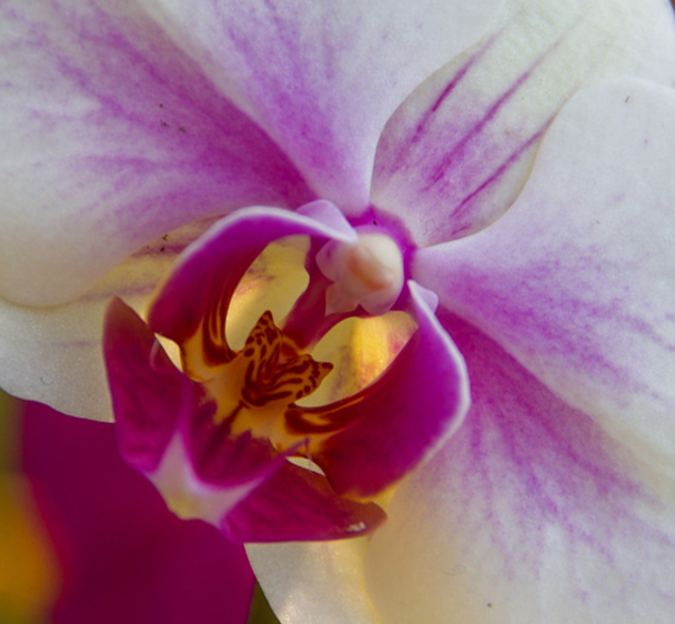 ������ (1} (4).jpg