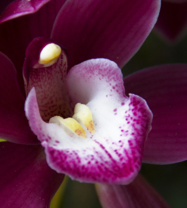 ������ (1} (5).jpg