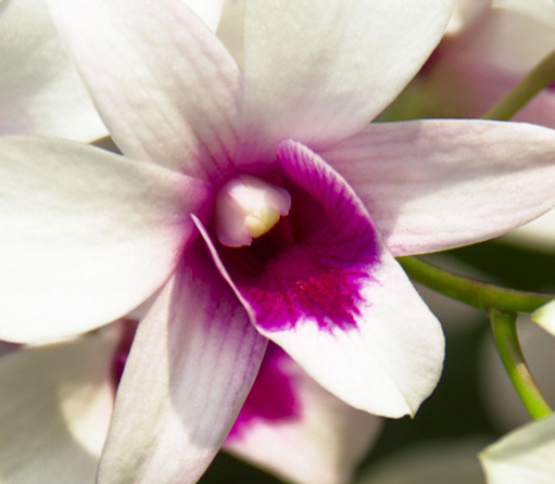 ������ (1} (1).jpg