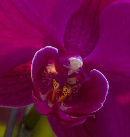 ������ (1} (3).jpg