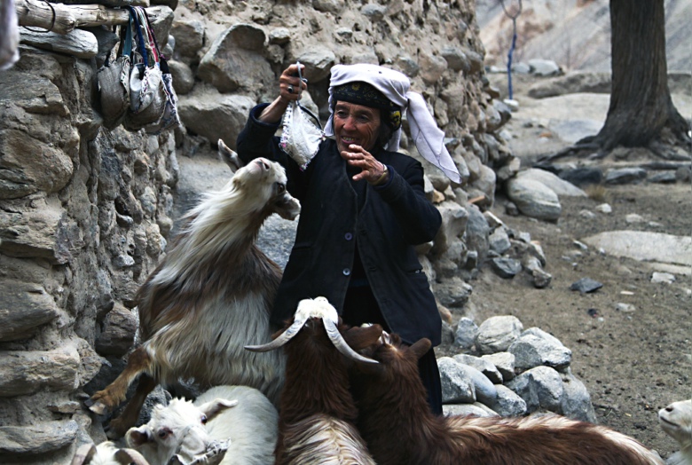 ɽ������