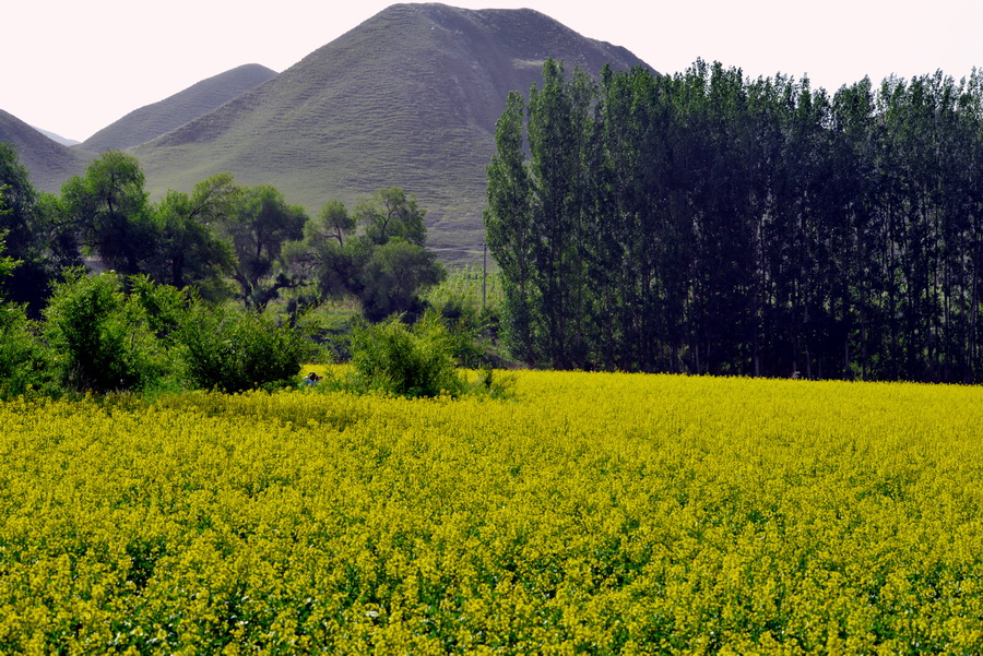 �˶���   ������