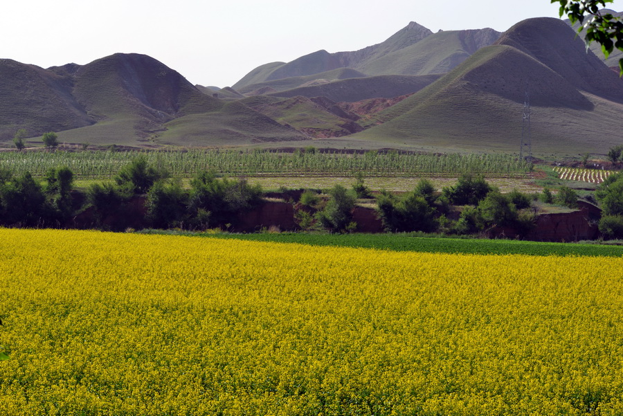 ��     ������