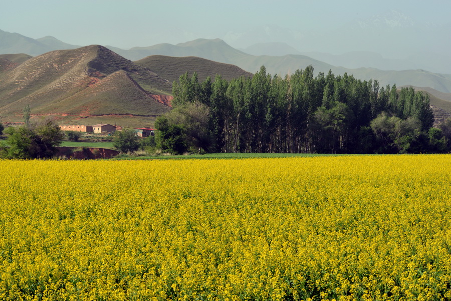 ��Ȥ   ������