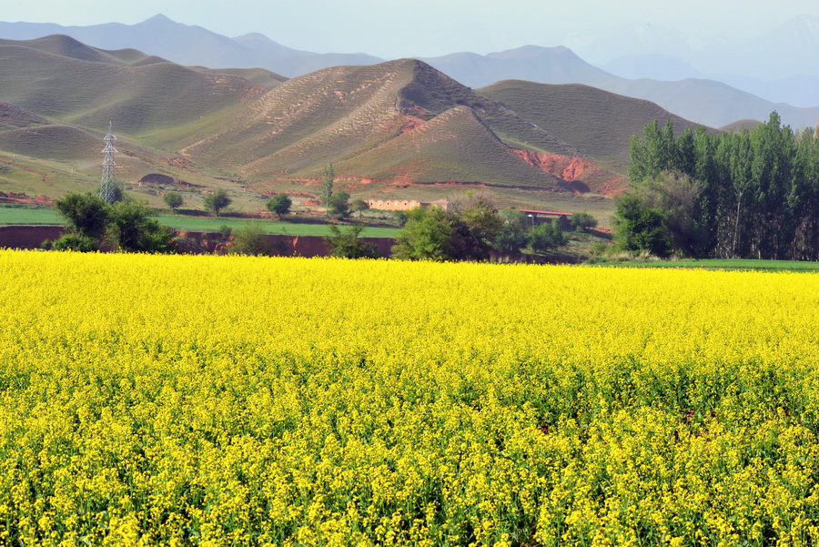 ��Ȥ    ������