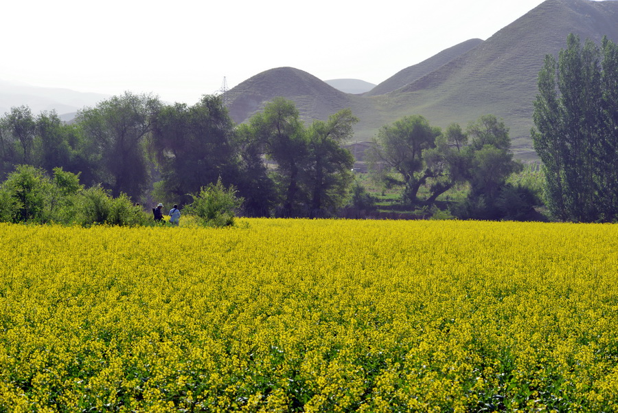 ����     ������