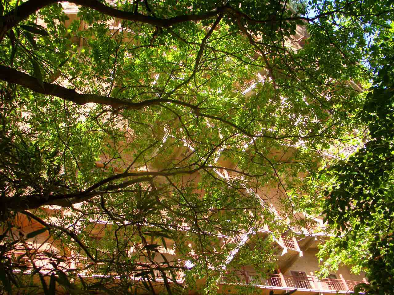 CIMG4880 ����.jpg