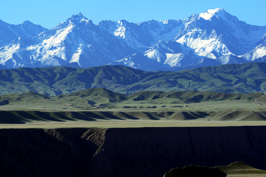 ѩɽӳ    ������