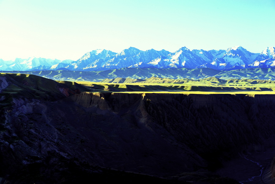 �������    ������