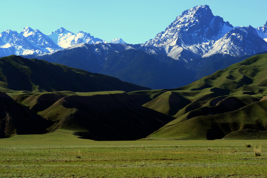 ɽӰ   ������