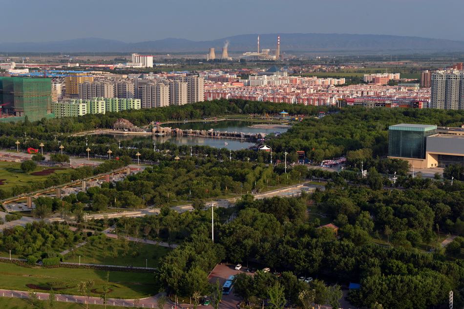 ����   ������