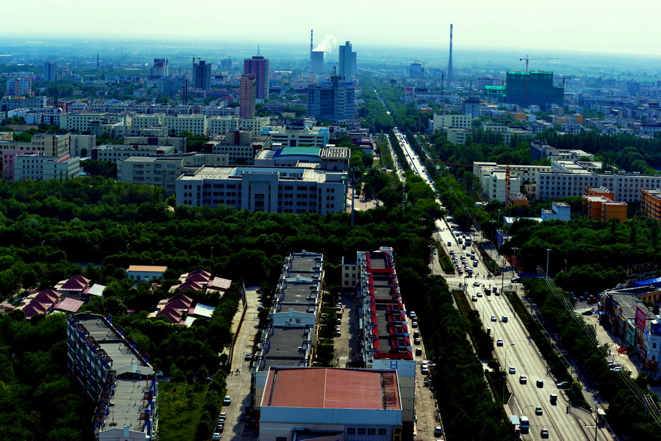 ����   ������