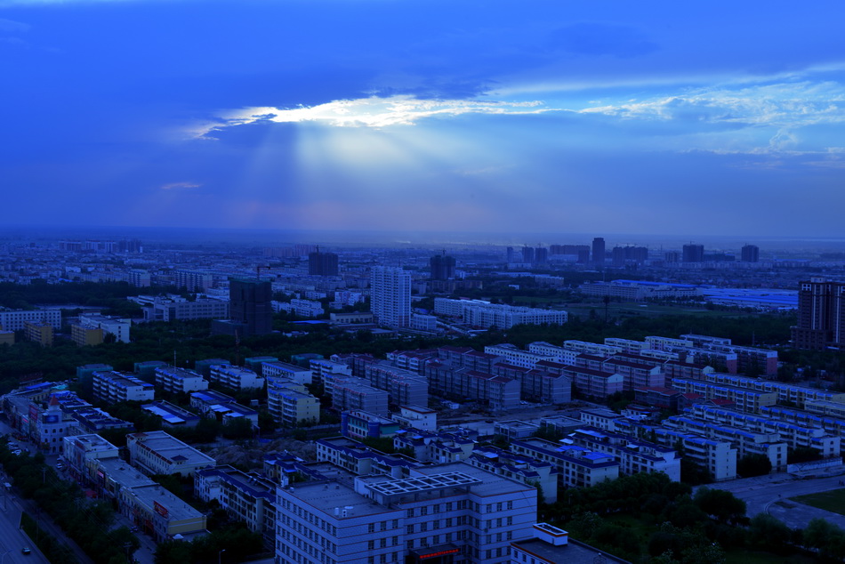 ����   ������