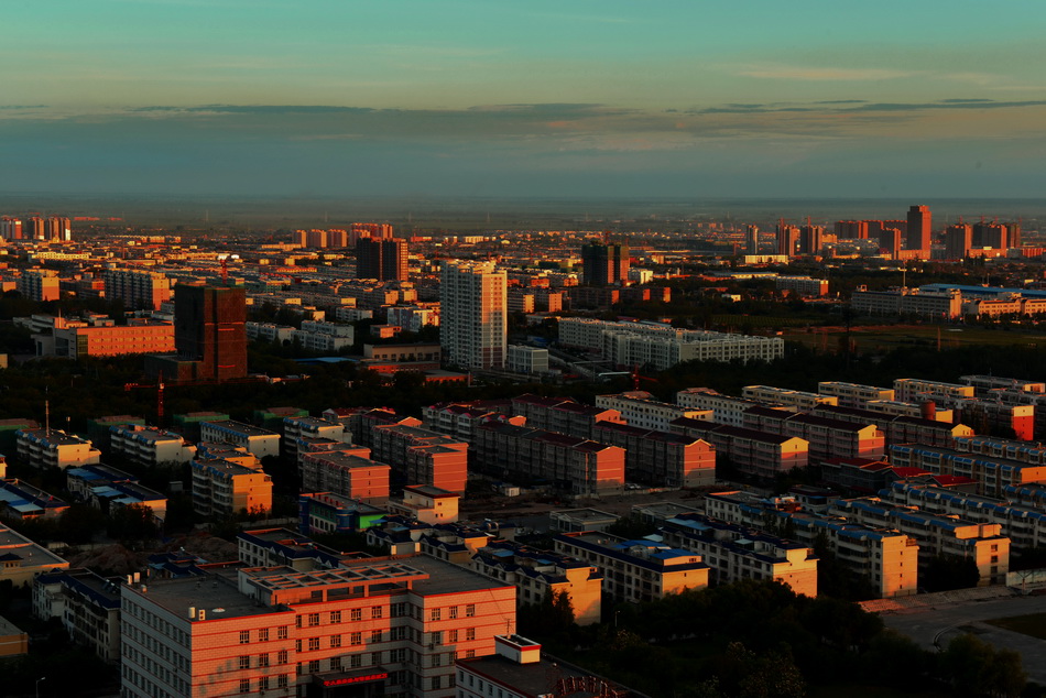 ����   ������