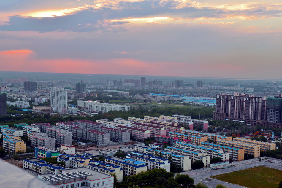 ����     ������