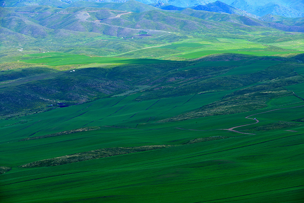 ��ɫ��ɫ��