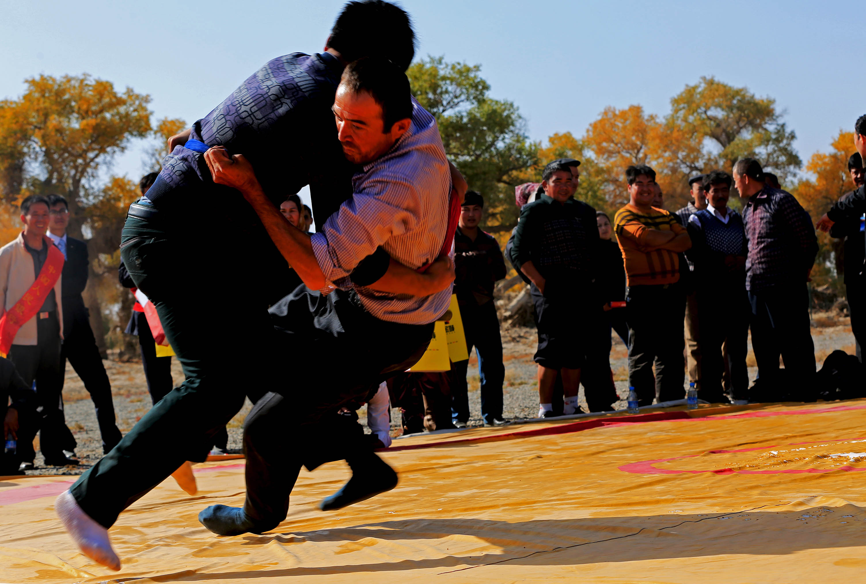 �ƾ�����