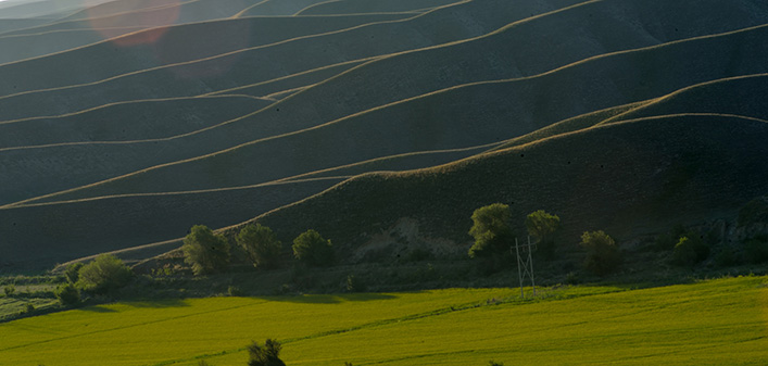 �������Ͳ˻�