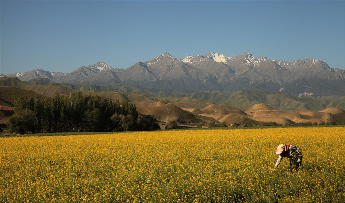 ������ (1).jpg