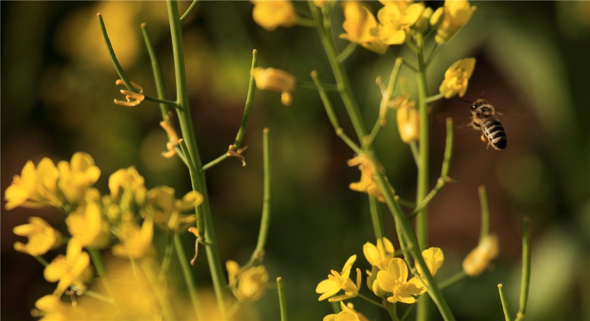 ������ (2).jpg