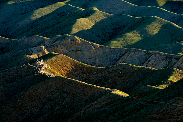 �����������ɽ����