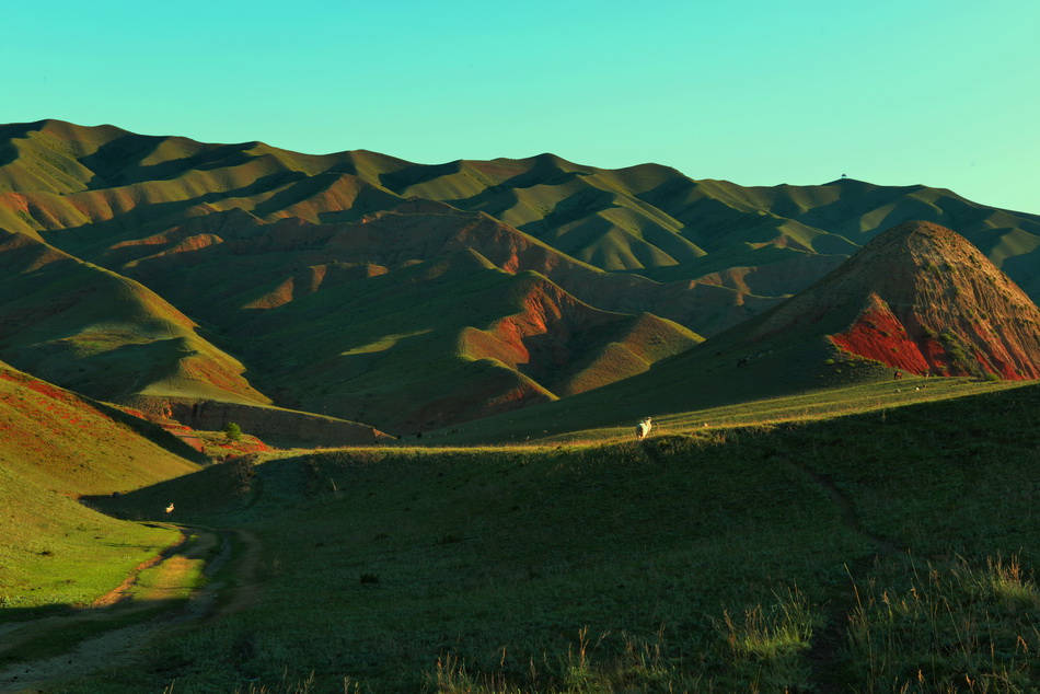 ������   ������