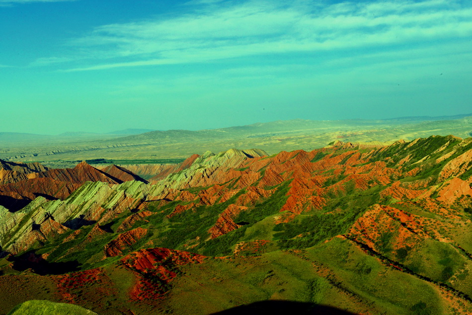 ����   ������