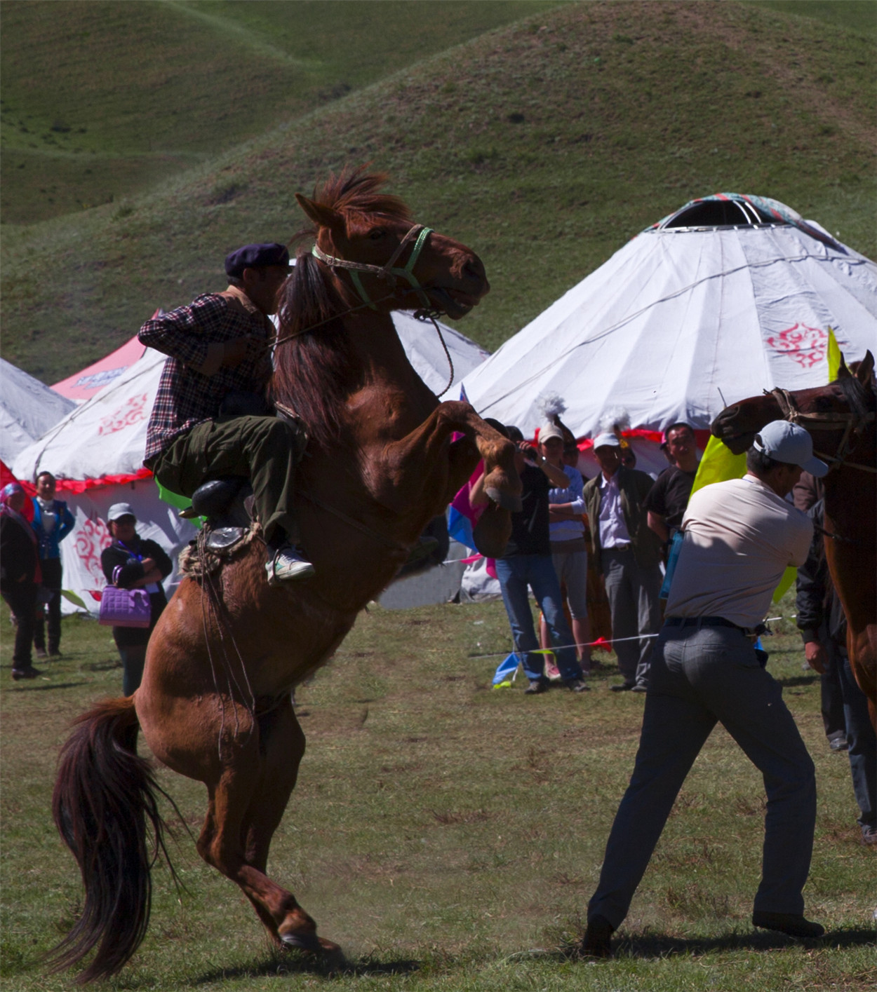 ����һ�� (1).jpg