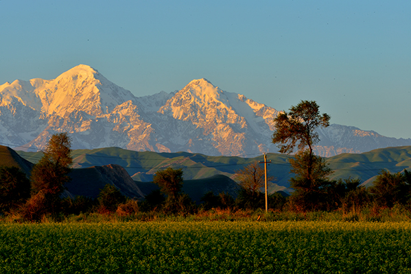��ɽ�����µ��Ͳ˻�
