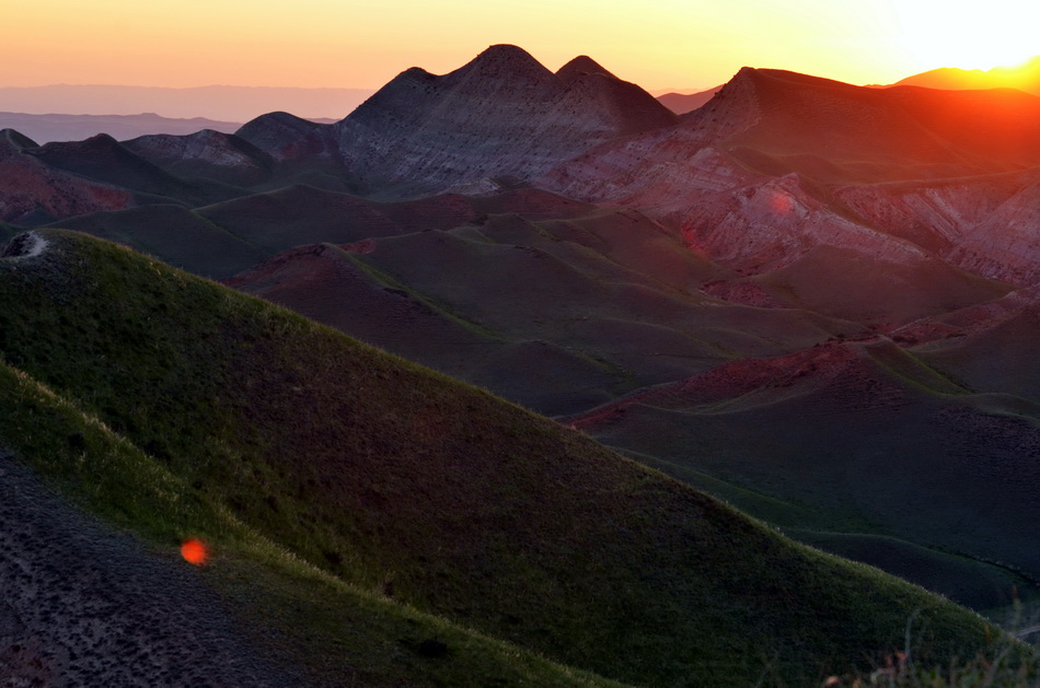 һ���    ������