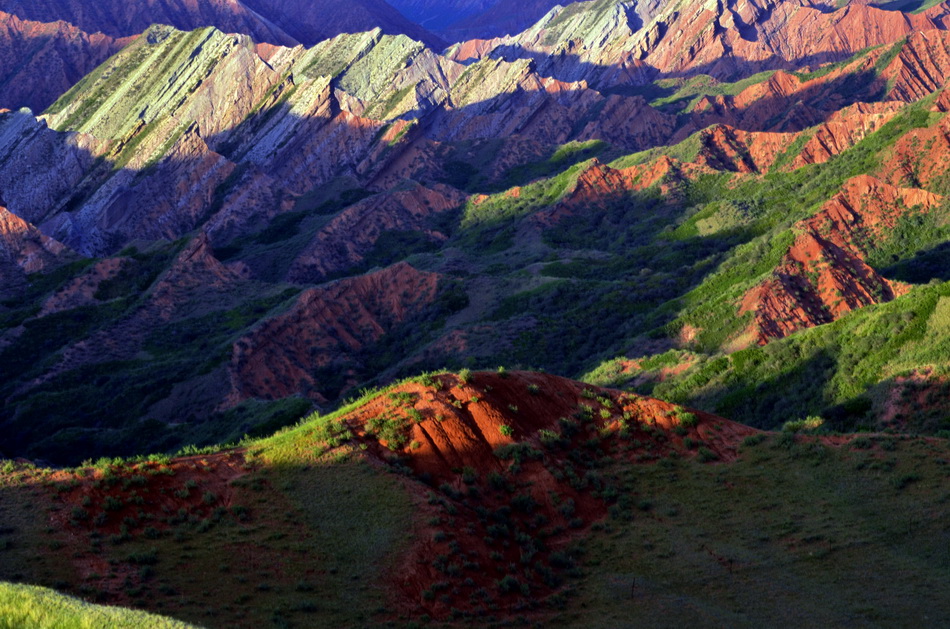 ����ͷ�   ������