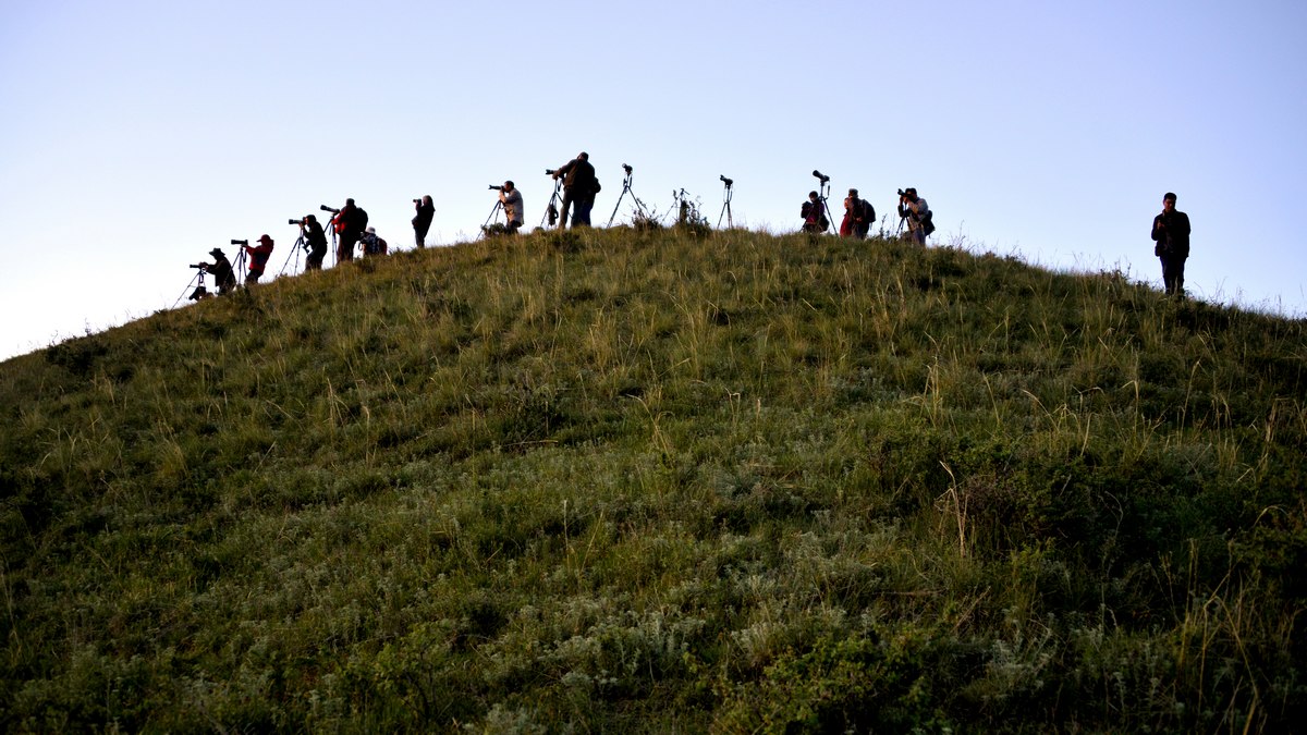 ����ǧ��Ŀ����һ��¥   -(6)g.jpg