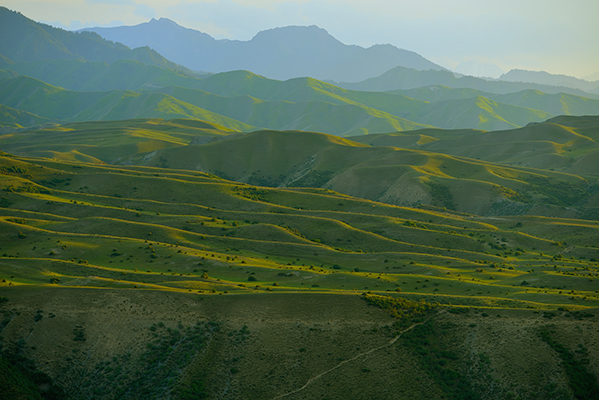 ��ɽ���º÷��