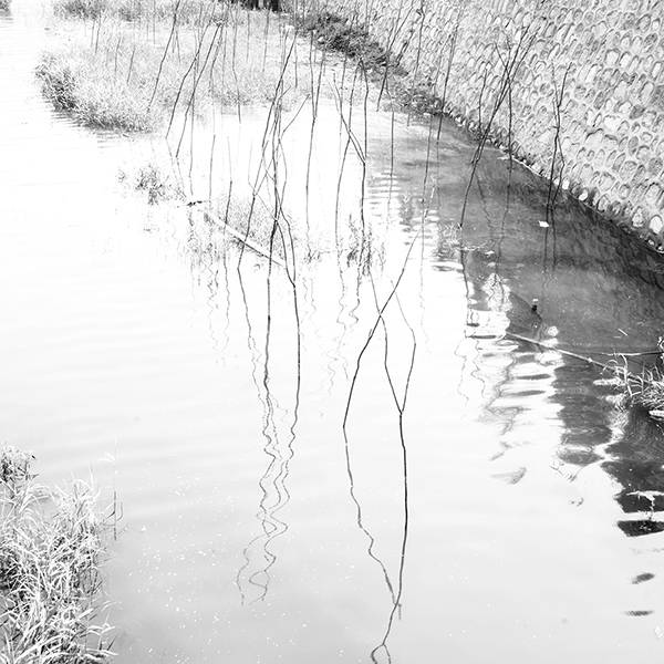 ��ת 2014��6��11������կ aa02612.jpg