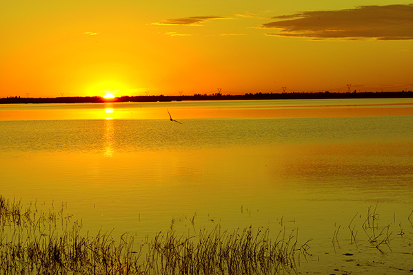 ������Ӱ