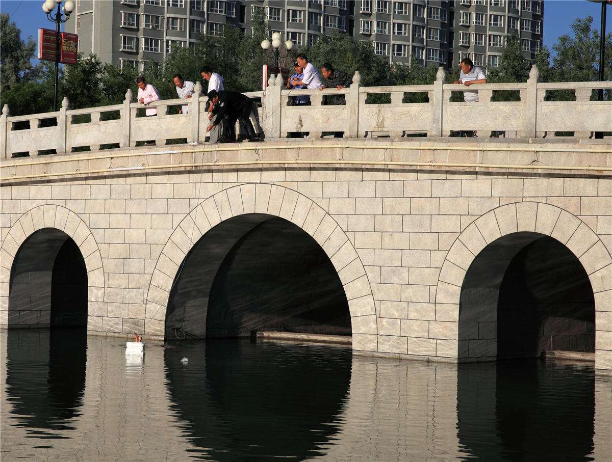 ���� (1).jpg