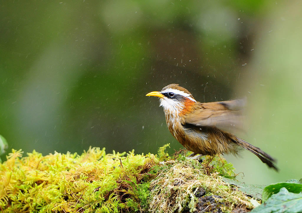 1�ؾ������� 5.jpg