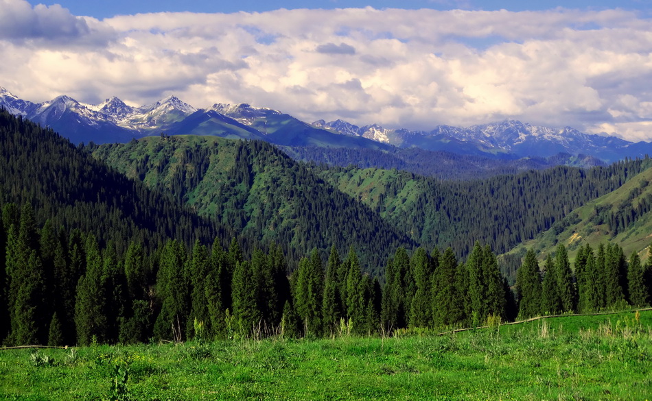 ѩɽ��    ������