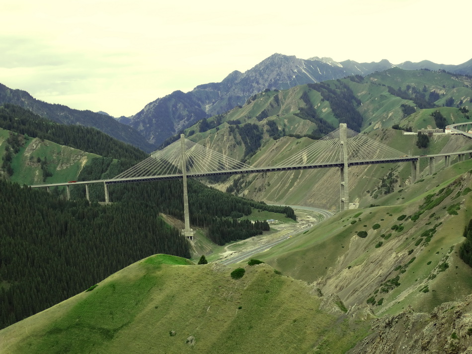 ����    ������