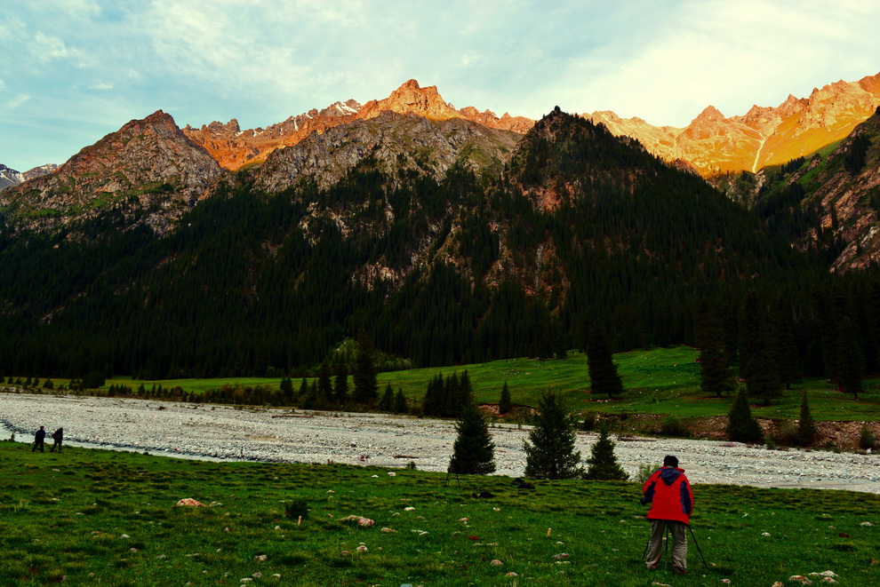 ����   ������