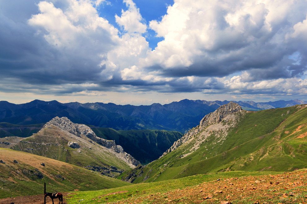 ��ɽ����   ������