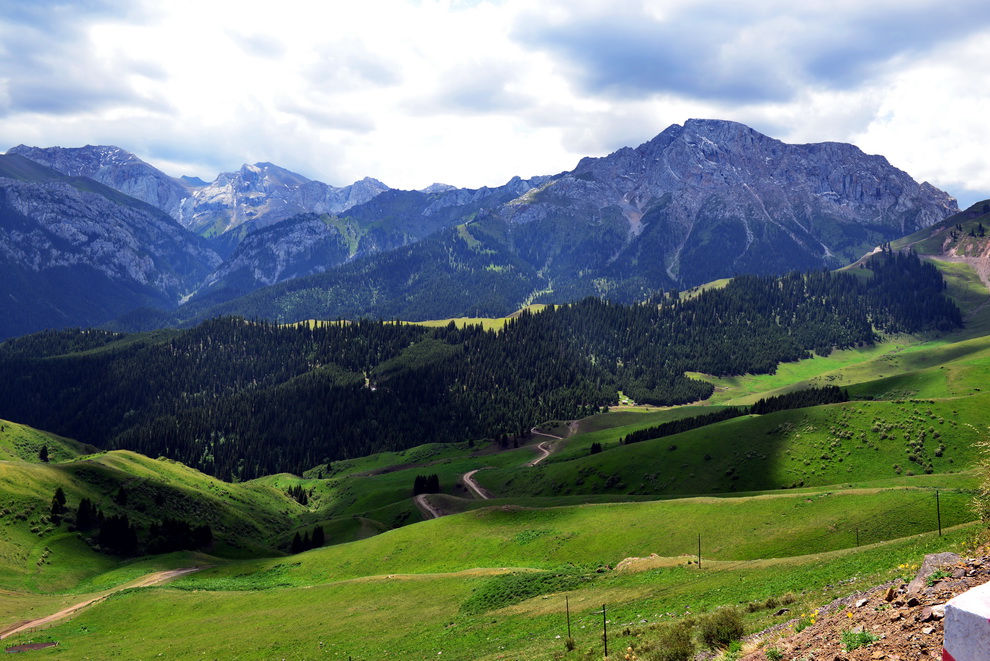 ������   ������