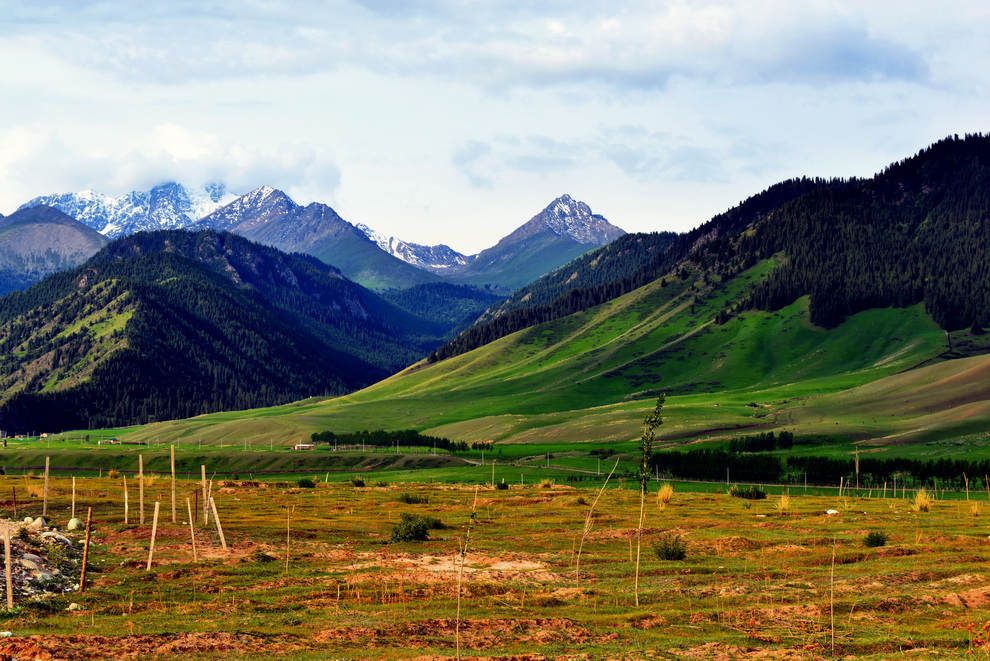 ɽ��   ������