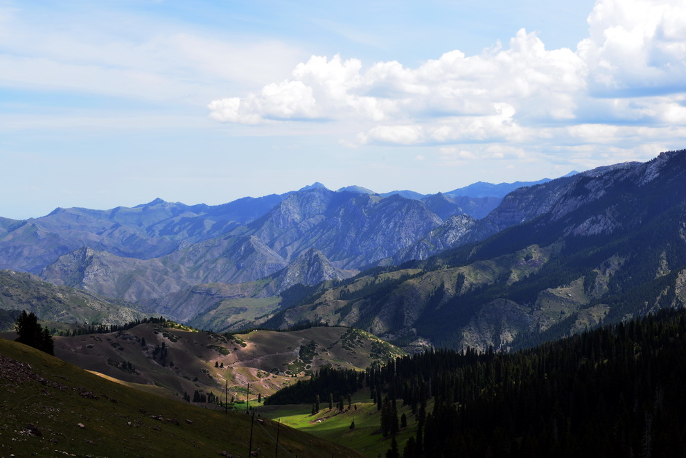 ��   ������