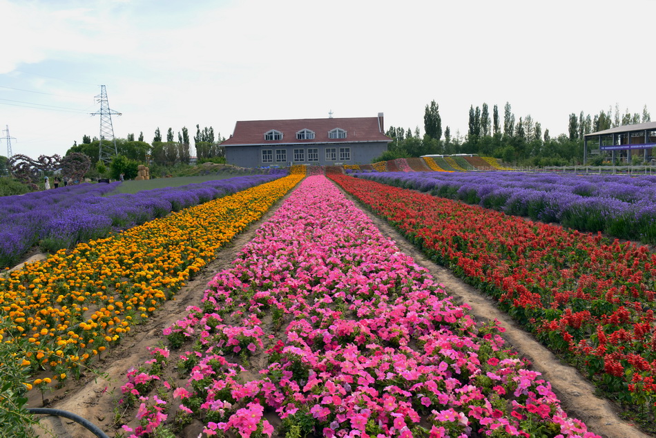 ����   ������