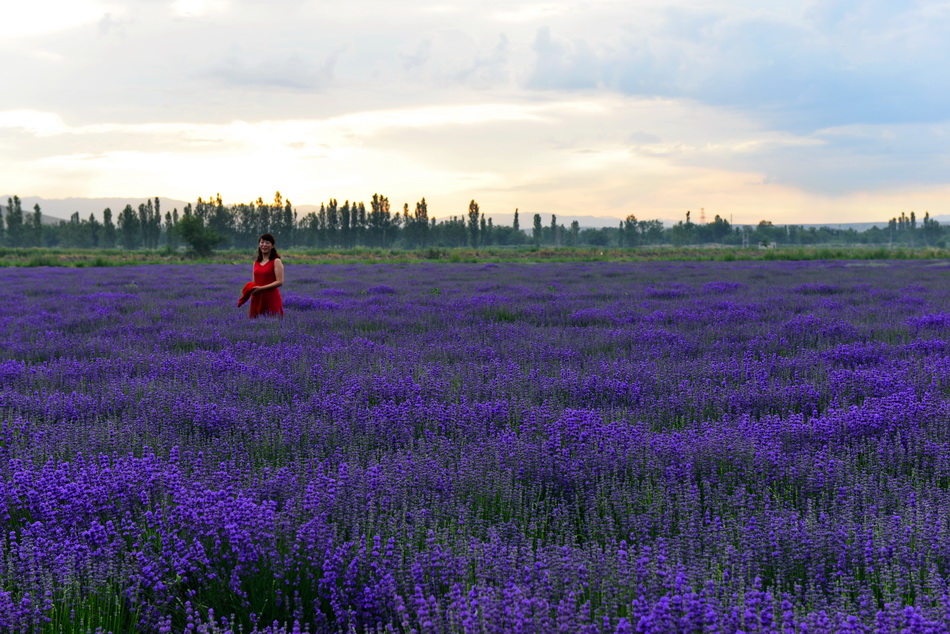 ��   ������