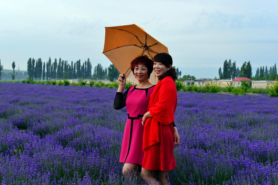 ������  ������