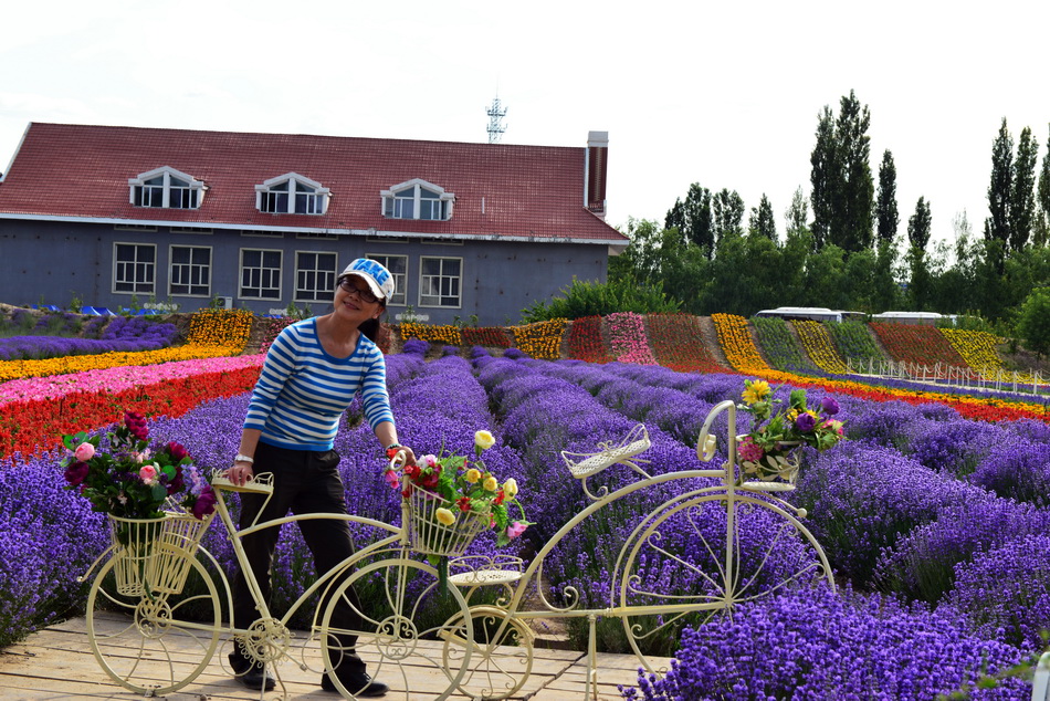 ��Ƥ    ������