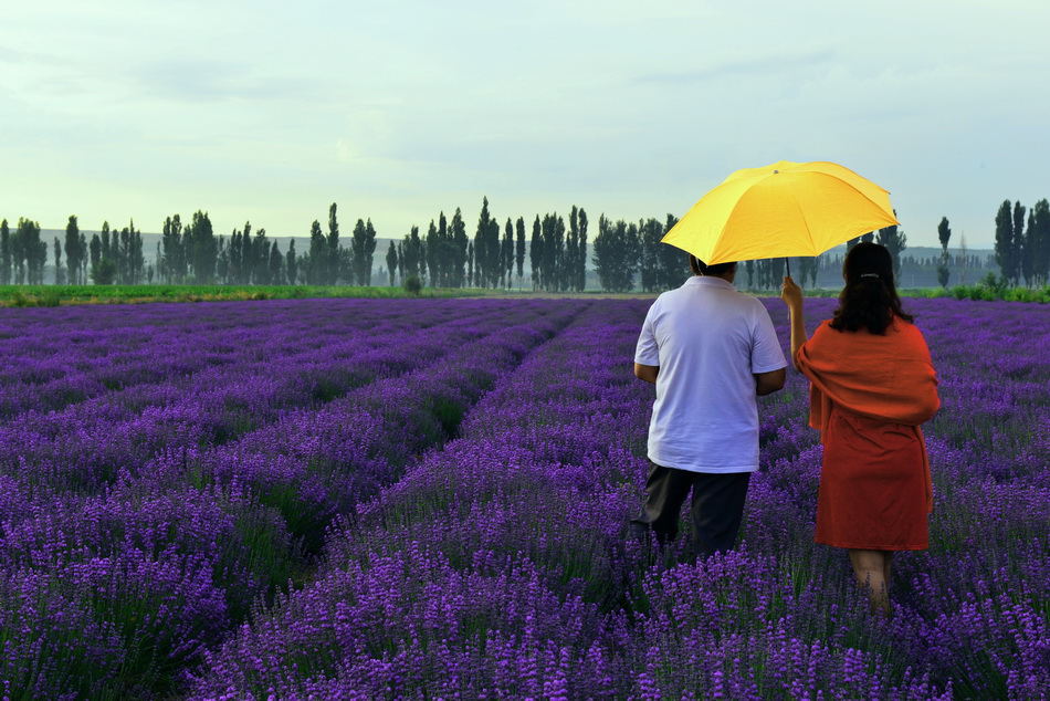 ��    ������