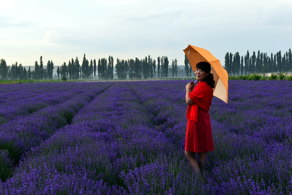 ��   ������